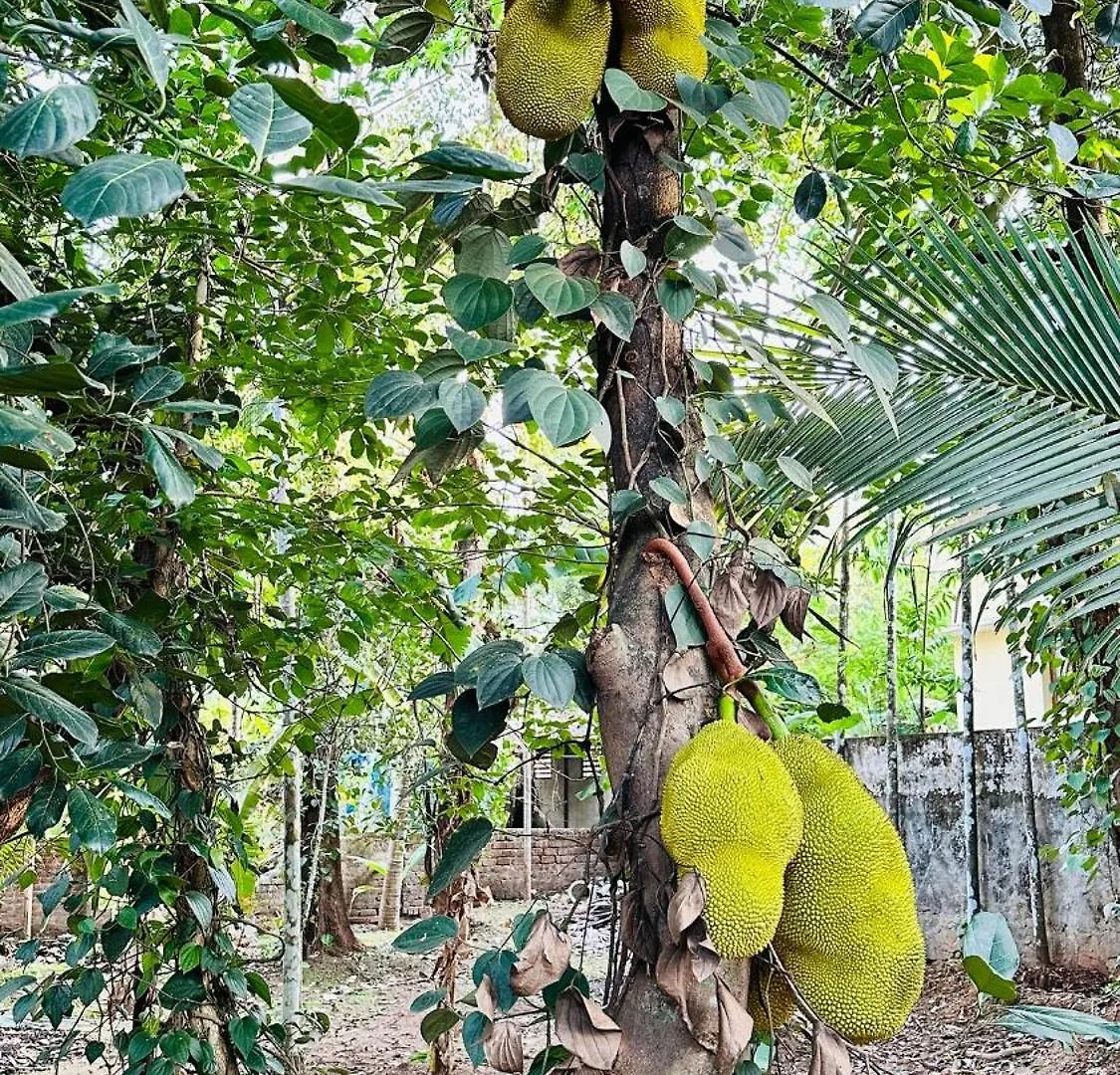 Lejlighed Snehanilayam Thrissur Indien