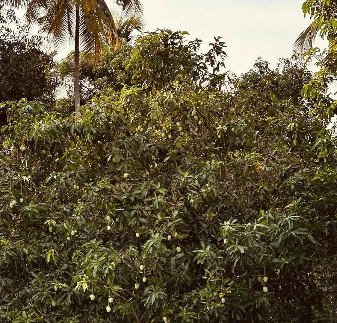 Snehanilayam Thrissur Indien